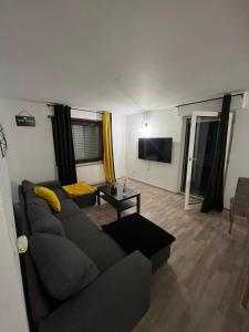 sala de estar con sofá y TV de pantalla plana en Appartement avec terrasse, en Kehl am Rhein