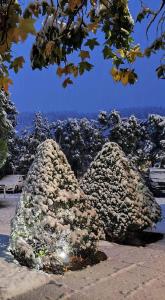 dos rocas cubiertas de flores con el océano en el fondo en Park Hotel Amfora, en Sofía