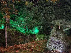 een groen licht in een bos 's nachts bij Park Hotel Amfora in Sofia