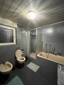 uma casa de banho com um WC, um chuveiro e um lavatório. em Appartement avec Jacuzzi et Jardin em Kehl am Rhein