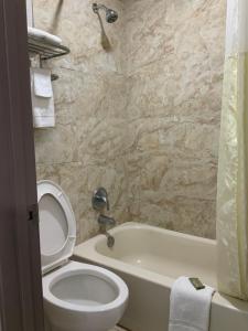 a bathroom with a toilet and a tub and a sink at Value Lodge in Alpine