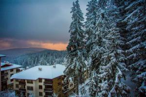 a view of a building with snow covered trees at N.Joy Holiday Apartment 417 by Sunny Hills in Pamporovo