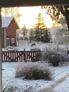 a deer walking on a fence in a snow covered yard at Stavsmyra in Eskilstuna