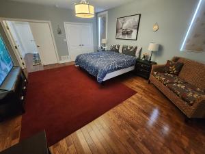 多倫多的住宿－Heart of Toronto Home，一间卧室配有一张床、一张沙发和一台电视