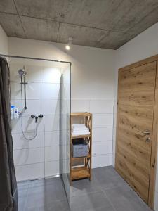 een badkamer met een douche en een glazen deur bij Hajdar & Adem 1 in Mattighofen