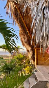 a straw hut on the beach with a palm tree at Guajira Beach in Ríohacha