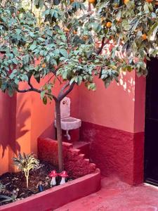 un árbol sentado en las escaleras junto a una pared roja en Zarlett House, Pazari ri ,Villa with Garden,Parking, en Tirana