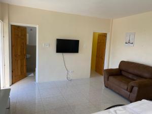 salon z kanapą i telewizorem z płaskim ekranem w obiekcie Studio flat w mieście Montego Bay