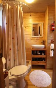 a bathroom with a toilet and a sink at Casita Arbol in Puerto Fuy