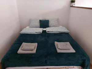 a bed with two pillows and a green blanket at Garden House Novi Sad in Novi Sad