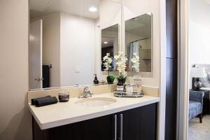 洛杉磯的住宿－One Bedroom Gem In Weho，一间带水槽和镜子的浴室