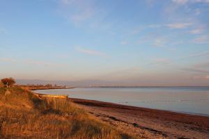 a beach with a body of water with ducks in it at Cosy beachfront getaway in Mersea in West Mersea