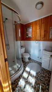 a bathroom with a shower and a toilet at Casa en Villa García, cerca de Melipeuco y Cunco in Cunco