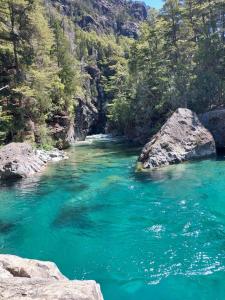 a river with turquoise water in a forest at Lo de Flora Hostel in Los Repollos