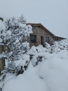 un árbol cubierto de nieve frente a un edificio en Refugio de Montaña "Casa Chakana " en Luján de Cuyo