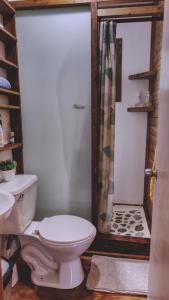 e bagno con servizi igienici, lavandino e doccia. di Cabaña Los Coihues a Puerto Montt