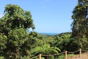 Paesaggio naturale nelle vicinanze del bed & breakfast