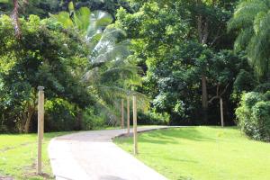 Giardino di The Serene House Bed & Breakfast