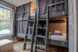 Fotografie z fotogalerie ubytování The Lazy Tiger Hostel v destinaci Woodfin