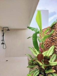 une plante dans une pièce à côté d'un mur dans l'établissement ANAA Villa - Tropical experience, à Atiha