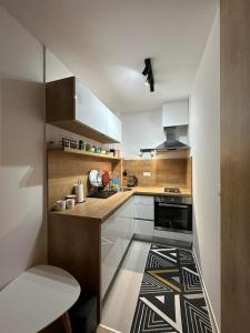 ビイェラシュニツァにあるBjelasnica studio apartmentの小さなキッチン(白いキャビネット、黒いオーブン付)