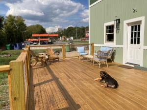 a dog sitting on a deck next to a house at The Lazy Tiger Hostel in Woodfin
