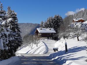 拉克呂薩的住宿－Le Soladret - 2 pièces 4 étoiles - Vue extraordinaire sur les Aravis，雪覆盖小屋,有雪覆盖的小径