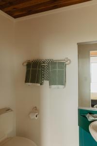 een badkamer met een toilet, een wastafel en een spiegel bij Buffalo Lodge in Coromandel Town