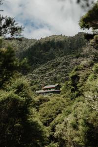 uma casa ao lado de uma montanha em Buffalo Lodge em Coromandel Town