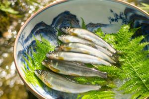 白山市川魚・山菜料理　和田屋的相册照片