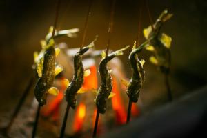 白山市川魚・山菜料理　和田屋的相册照片