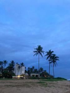 a group of palm trees on a beach at night at Easy Stay Lodge in Weligama