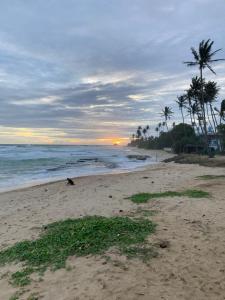 a beach with palm trees and the ocean at sunset at Easy Stay Lodge in Weligama