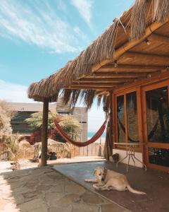 a dog laying on a mat in front of a building at Lobitos Eco Lodge in Lobitos