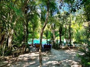 einen Tisch und Stühle im Schatten der Bäume in der Unterkunft Glamping Bunga Lotus in Tulum