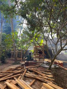 Barefoot Hostels, Varkala外面的花园