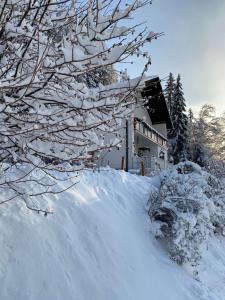 un árbol cubierto de nieve frente a una casa en Pölstaler Berghütte, en Oberzeiring