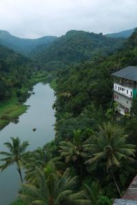 a river in the middle of a jungle with palm trees at Hotel Idukki Castle in Idukki