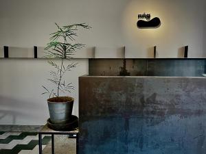 a plant in a pot on a table in a room at 軟寓 nńg inn in Tainan