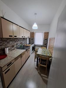 Kuhinja ili čajna kuhinja u objektu Apartment Gajic