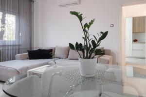 a living room with a glass table with a potted plant at Apartman Franko - SELF CHECK IN in Osijek