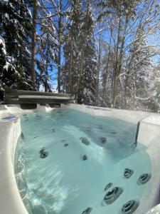 a hot tub covered in snow with trees in the background at Colorado Riders Chalet in Crans-Montana