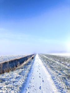 a snow covered road with footprints in a field at Appartement Huus Appelboom in Nordstrand