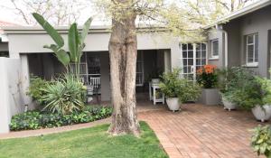 uma casa com plantas e uma árvore no quintal em Rosebank Lodge Guesthouse by Claires em Joanesburgo