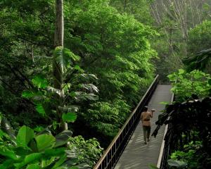 a man walking across a bridge in the rainforest at Kayumanis Ubud Private Villas & Spa in Ubud