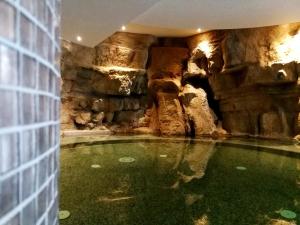 a pool of water in a cave with a rock wall at Hotel Terme Marine Leopoldo II TERME & SPA in Marina di Grosseto