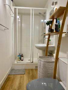 a bathroom with a shower and a sink at Appartement au coeur de Paris in Paris