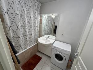 a bathroom with a sink and a washing machine at Aux roches d'Or in Roques Sur Garonne