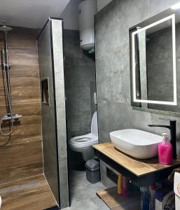 La salle de bains est pourvue d'un lavabo et de toilettes. dans l'établissement SA Apartment, à Gnjilane