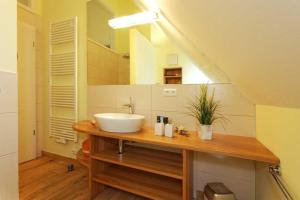 a bathroom with a sink on a counter with a mirror at Lotsenstieg 2 Kajuete 07 in Ostseebad Karlshagen